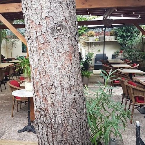 Aux Amitiés Gourmandes, Villeurbanne