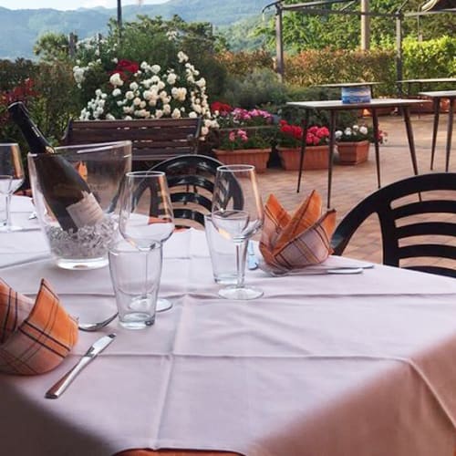 Il Signorino, Pistoia