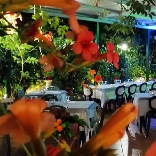 Al Fagiano, Chianchitta-pallio