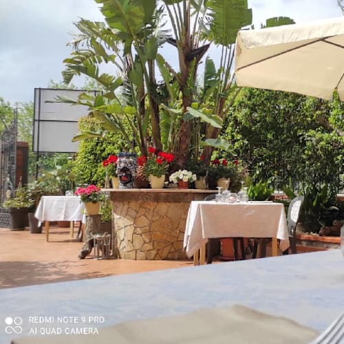 Al Fagiano, Chianchitta-pallio