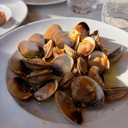 Seiscuarenta, Barcelona