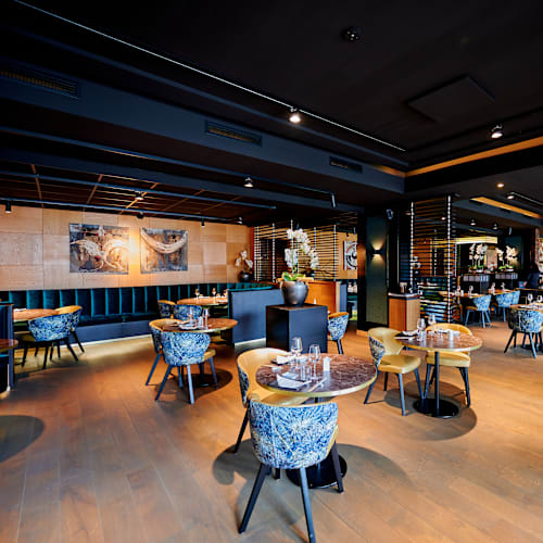 Itami, Rotterdam