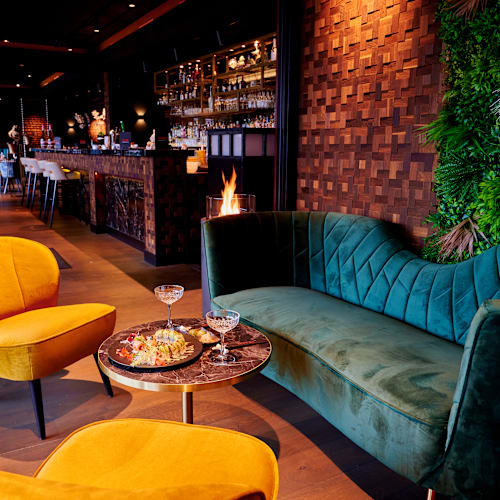 Itami, Rotterdam