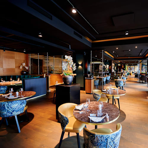 Itami, Rotterdam