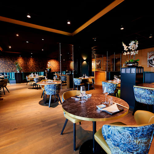 Itami, Rotterdam