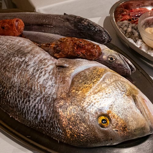 El Bressol - Valencia, València