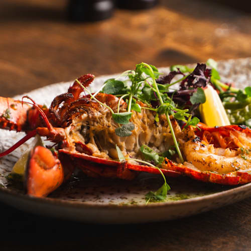 Het Zuiden Fish&Wine - Steak&Beer, Utrecht