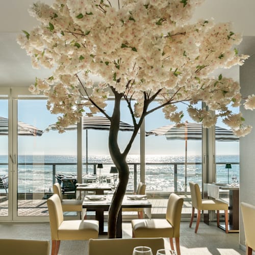 Terrace - Hotel Arribas, Colares