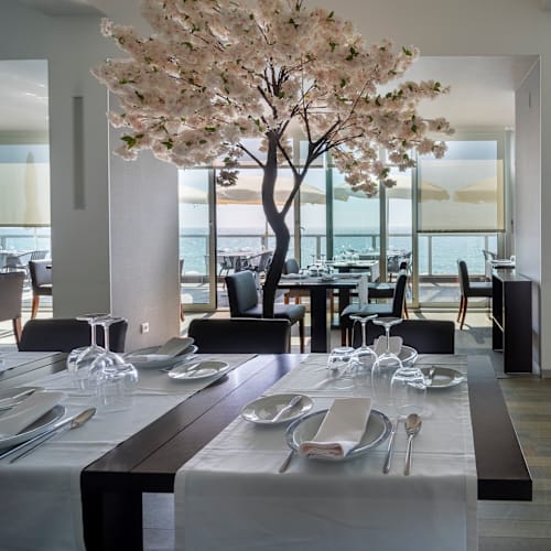 Terrace - Hotel Arribas, Colares
