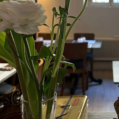 Matilde Bistrot, Reggio Emilia