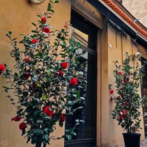 Matilde Bistrot, Reggio Emilia