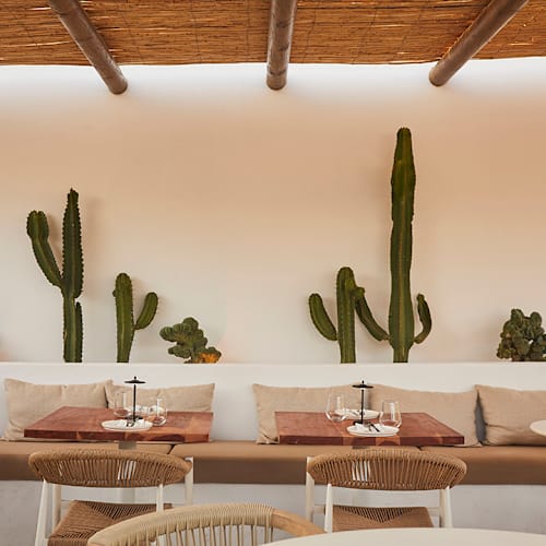 Tribü - Brunch & Bistro, Albufeira