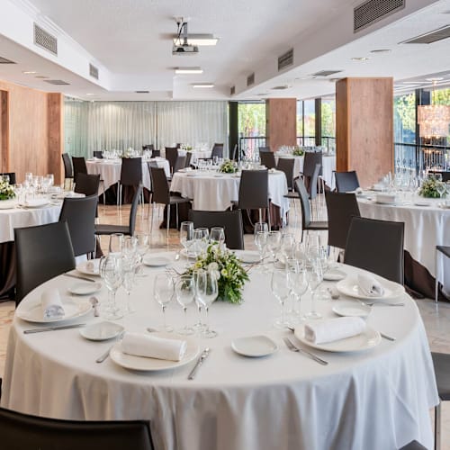 Sinfonía - Sallés Hotel Ciutat del Prat, El Prat De Llobregat