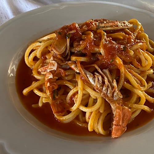 Splendor, Arpino
