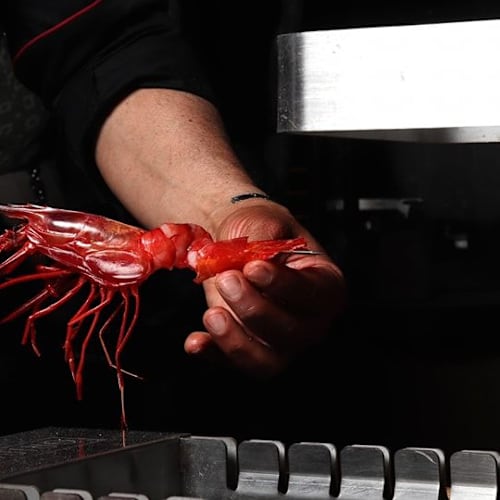 Oribu Brasas Japocastizas, Madrid