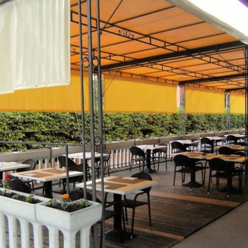 Ginger, Modena