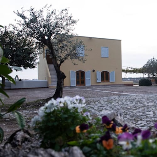 Villa Petrinum, Mondragone