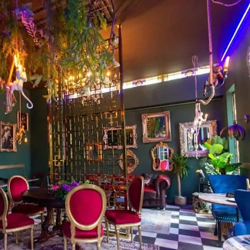 Funky Monkey, Leiden