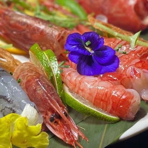 Konoha Sushi, Napoli