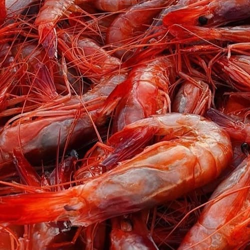 VALERIO ( RISTORANTE DI PESCE), Roma