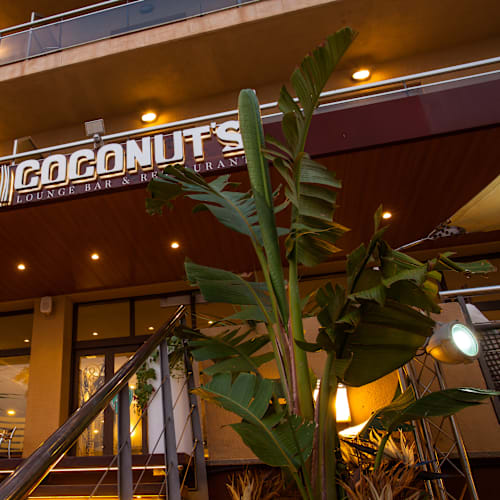Coconut’s , Roses