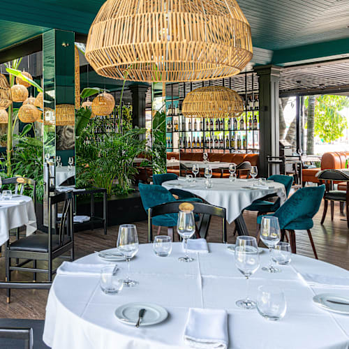 Vela Latina, Lisboa