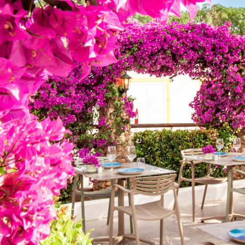 Trattoria Oliveira, Carvoeiro