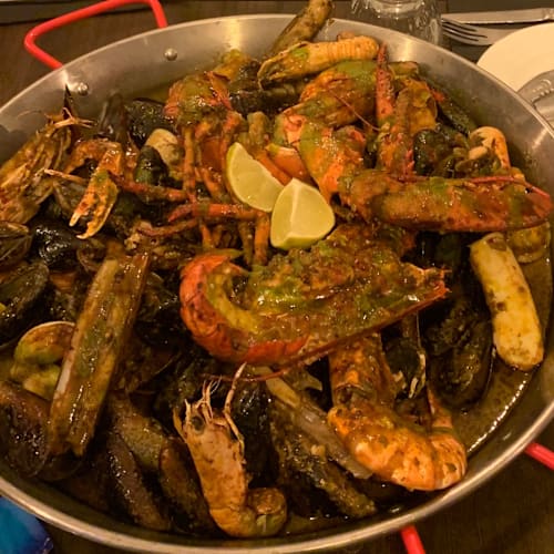 a l'ombre du pin, Solliès-Pont