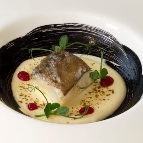 Tino Gourmet, Soligo