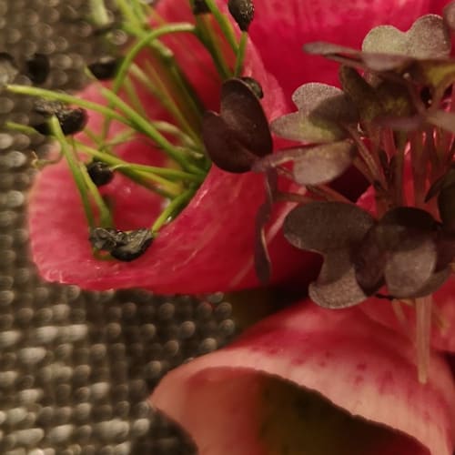 Gourmet Restaurant Schloss Binningen, Binningen