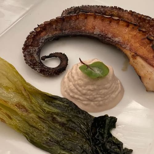 New Food Experience, Roma