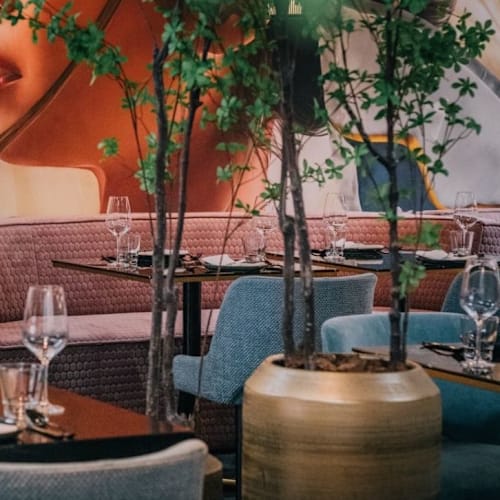 Nova Kitchen & Bar, Breda