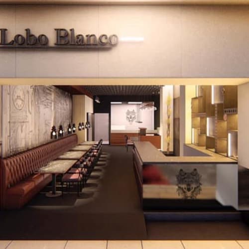 El lobo blanco, Alicante