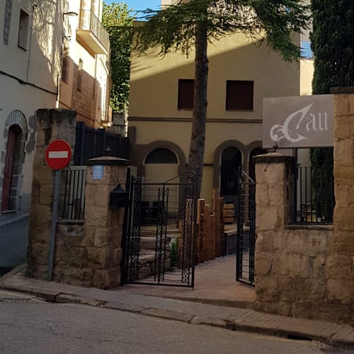 Cau de l'Ateneu , Manresa