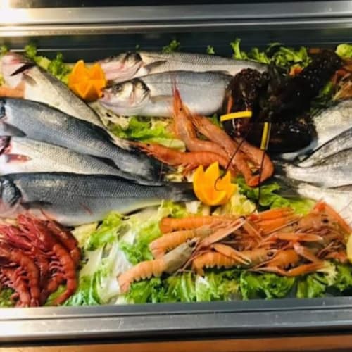 Squisito Vescovio, Roma