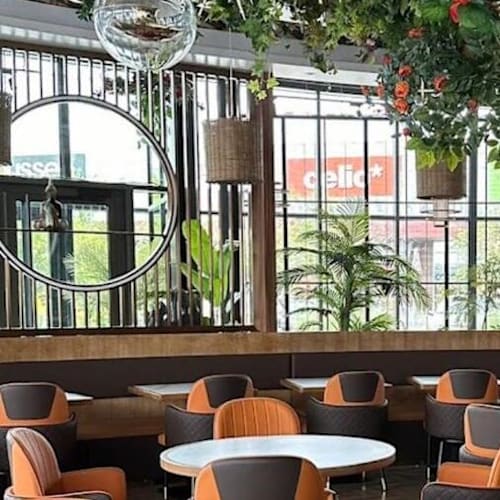 basilic thai, Cormeilles-en-Parisis