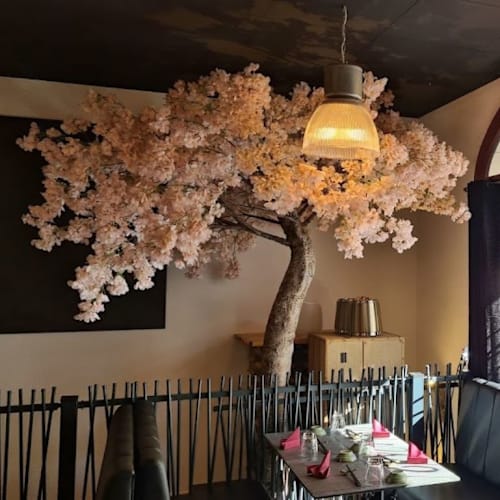 Toryumon, Carouge