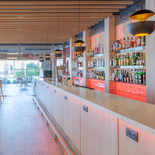 Bribone - Meliá Alicante, Alicante (Alacant)