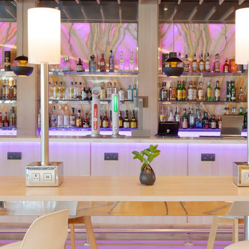 Bribone - Meliá Alicante, Alicante (Alacant)