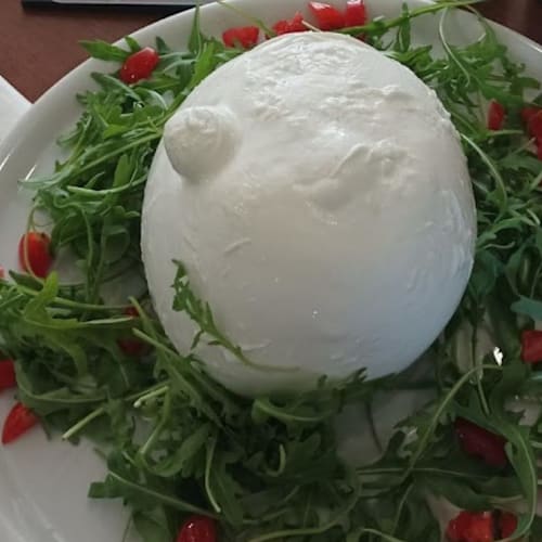 Sott'olio, Zaandam