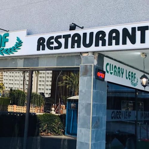 Curry leaf, Benidorm