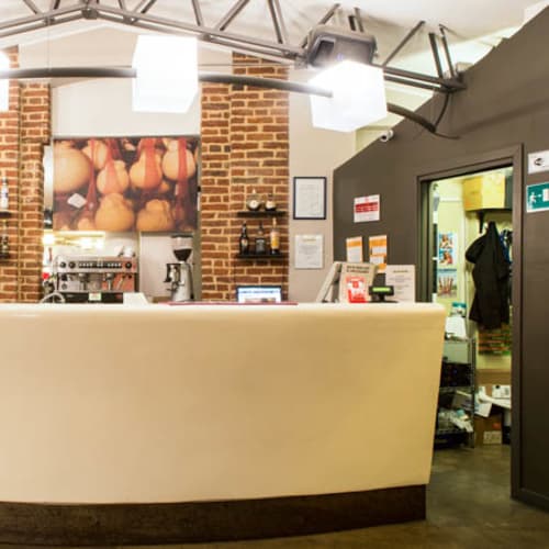 Linopassamilvino, Torino