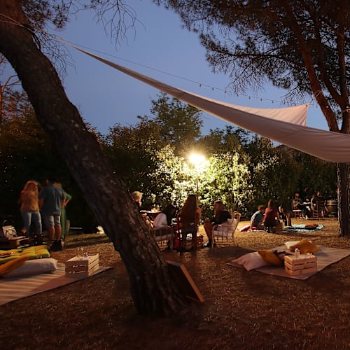 Il Caldetino, Vicchio