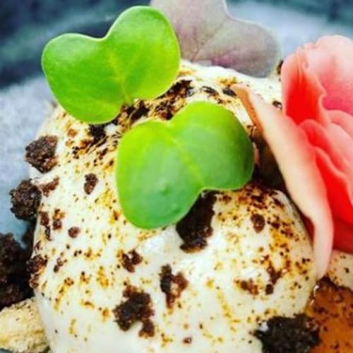 Cinque Sensi Trattoria Contemporanea, Tropea