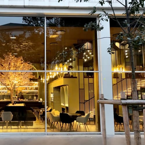 The Tree, Paris