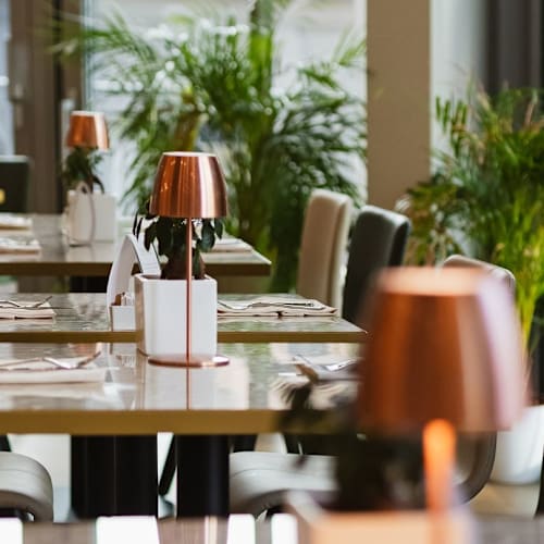 Ristorante Clorofilla, Milano