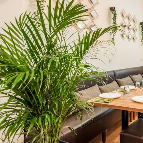 Apégo brunch, Paris