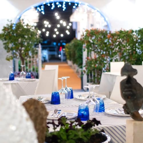 Il giardino di Enzo, Ischia