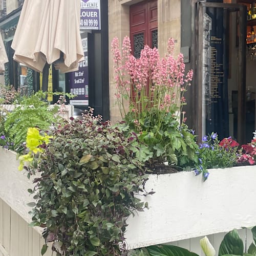 Yum Sakebar, Paris