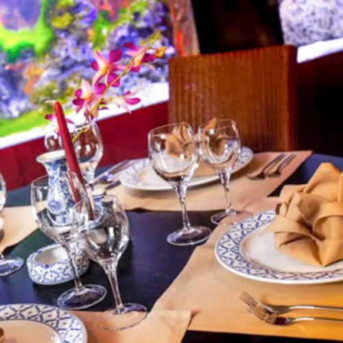 Narai Thai, Brugge